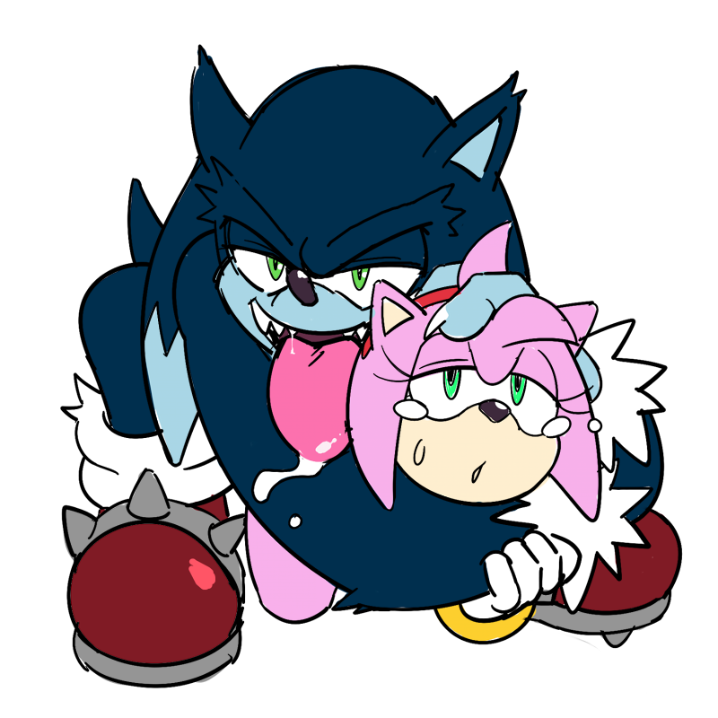 the werehog amy sonic and A hat in time smug
