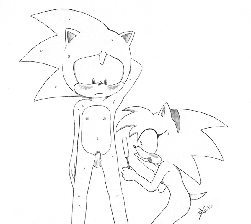 tails the werehog and the sonic werefox Shantae and the pirate's curse princess outfit