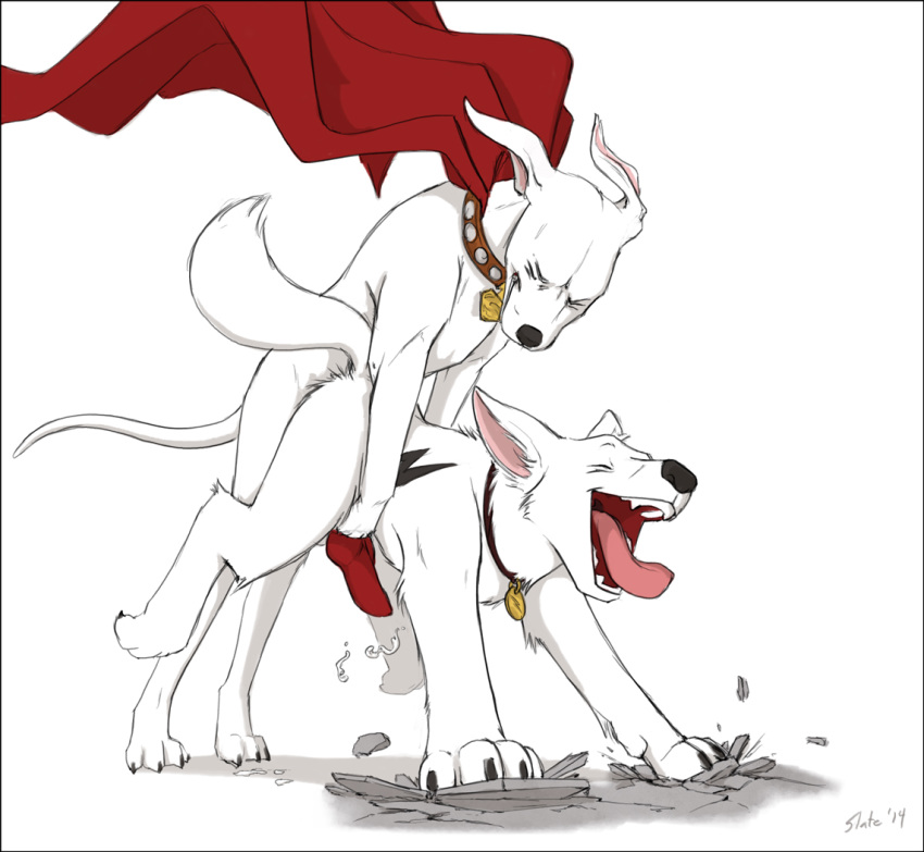 krypto the superdog terrier tail Redead breath of the wild